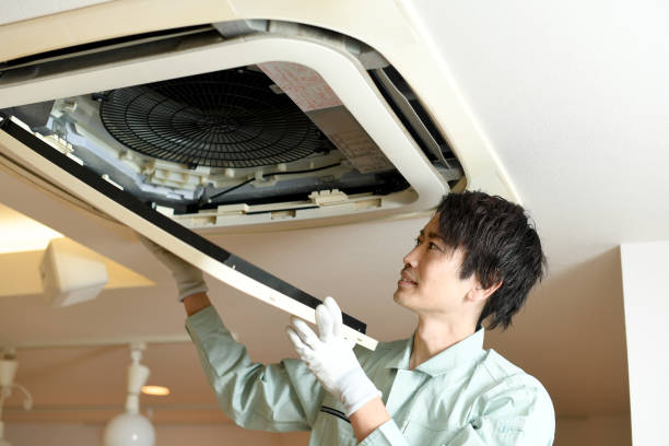 Best Affordable Duct Cleaning Services  in Carrizo Springs, TX