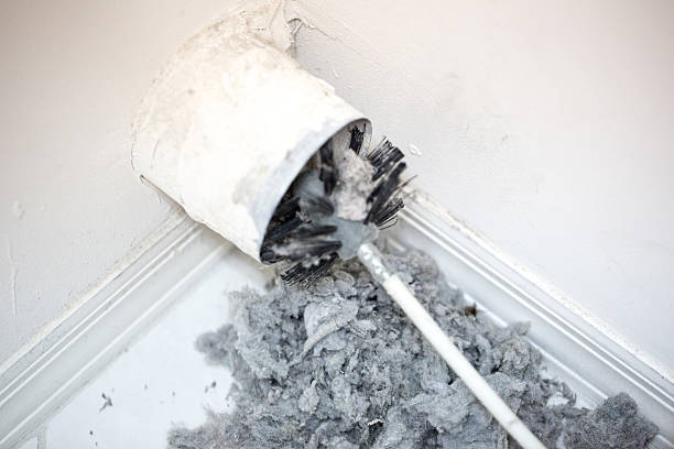 Best Local Air Duct Cleaning Services  in Carrizo Springs, TX
